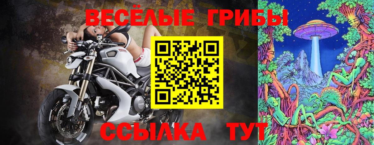 Волоколамск  Псилоцибиновые грибы GOLDEN TEACHER  Вход с VPN  Псилоцибиновые грибы Psilocybe 